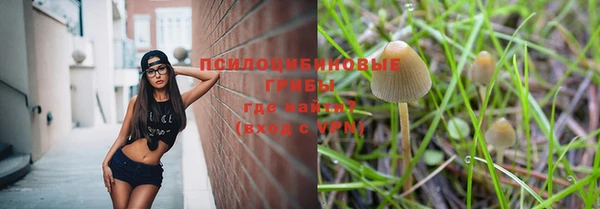 мдпв Куйбышев