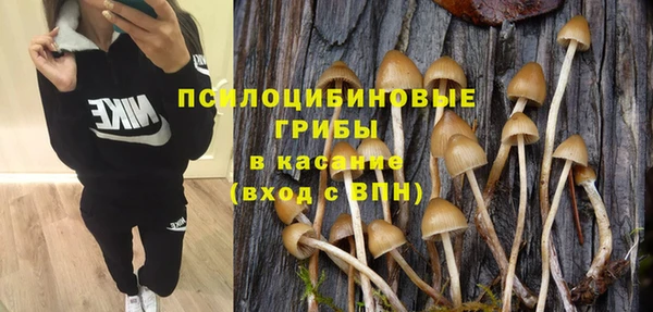 мдпв Куйбышев