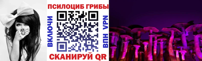 Галлюциногенные грибы GOLDEN TEACHER  mega сайт  Азнакаево 