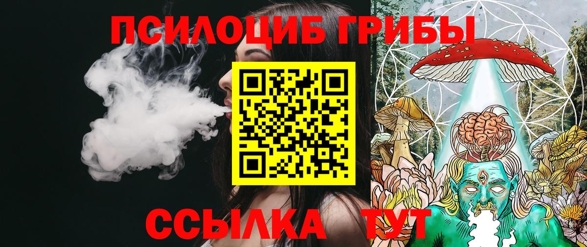 Азнакаево  Галлюциногенные грибы мицелий  Вход с VPN  Галлюциногенные грибы Psilocybe 
