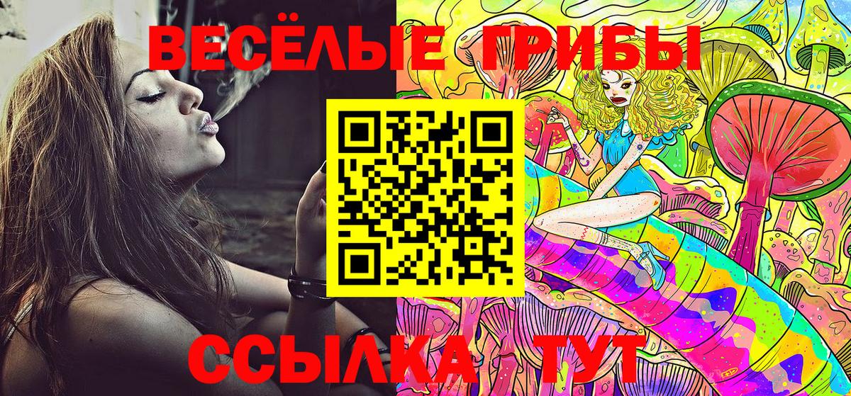 Псилоцибиновые грибы GOLDEN TEACHER Азнакаево